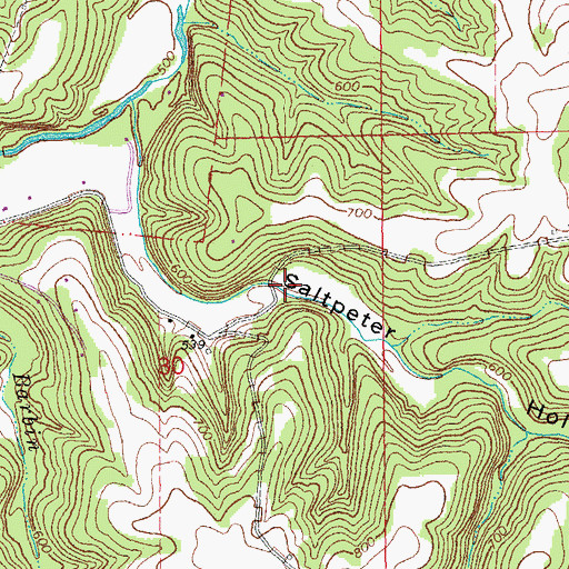 Topographic Map of Saltpeter School (historical), MO