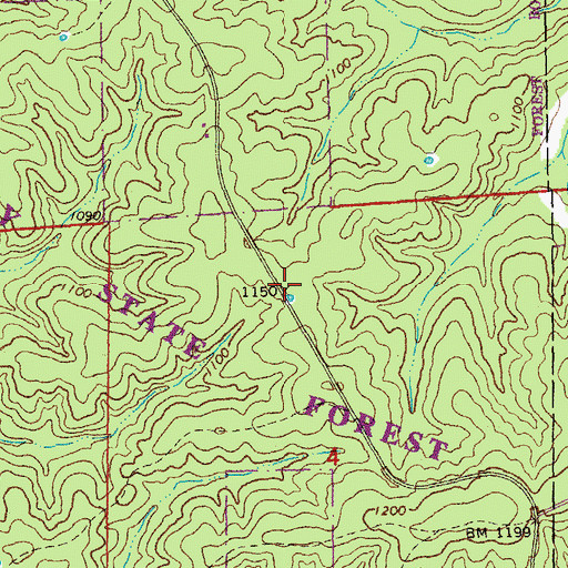 Topographic Map of Dickens Valley State Forest, MO