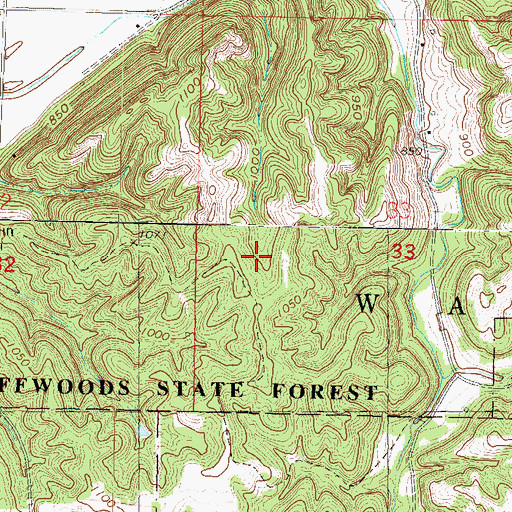 Topographic Map of Bluffwoods State Forest, MO