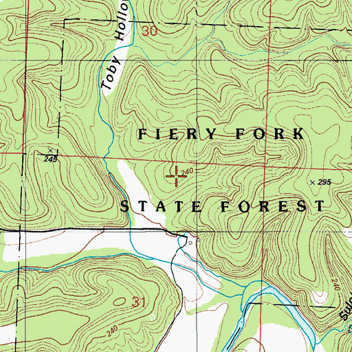 Topographic Map of Fiery Fork State Forest, MO