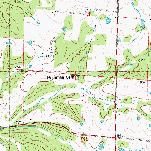 Topographic Map of Hamman Cemetery, MO