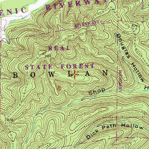 Topographic Map of Beal State Forest, MO