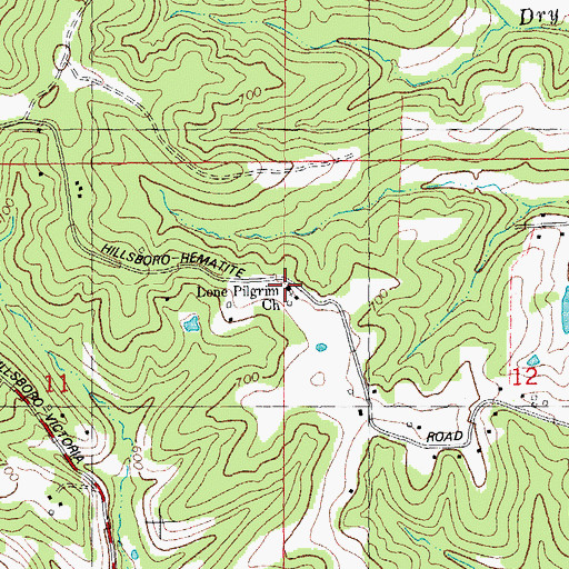 Topographic Map of Lone Pilgrim Church, MO
