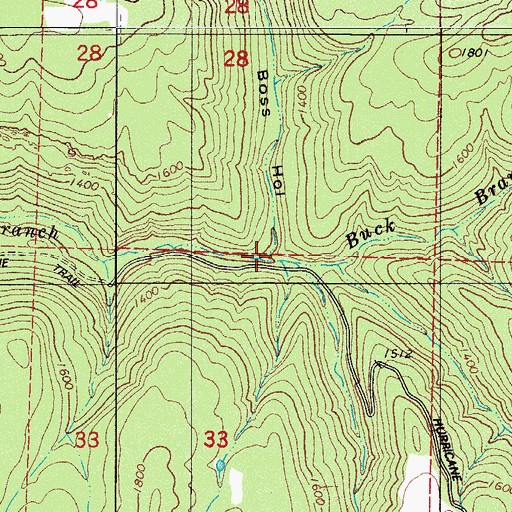 Topographic Map of Boss Hollow, AR