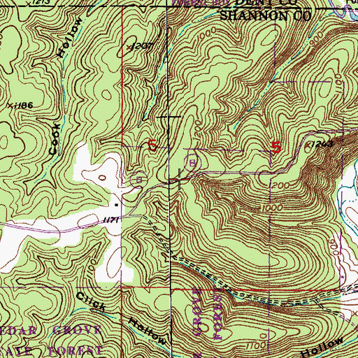Topographic Map of Cedar Grove State Forest, MO
