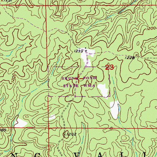 Topographic Map of Skunk Pond State Wildlife Management Area, MO