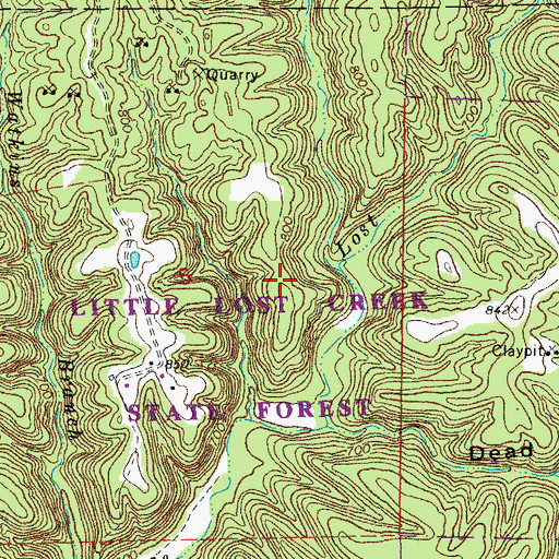 Topographic Map of Little Lost Creek State Forest, MO