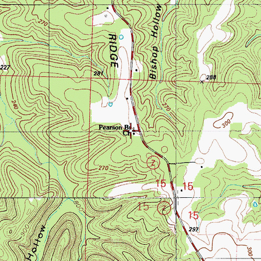 Topographic Map of Pearson Branch Church, MO