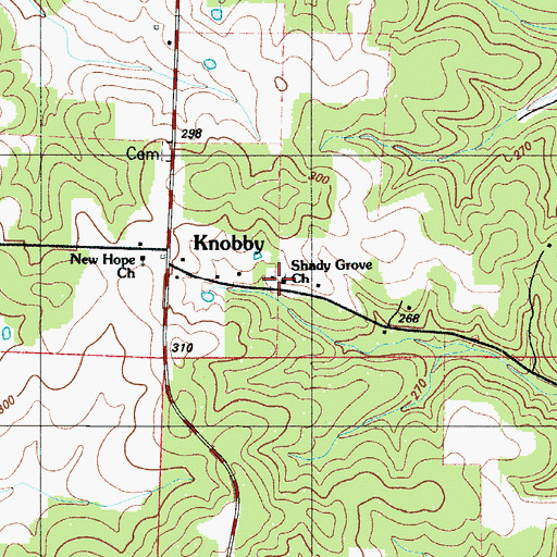 Topographic Map of Shady Grove Church, MO