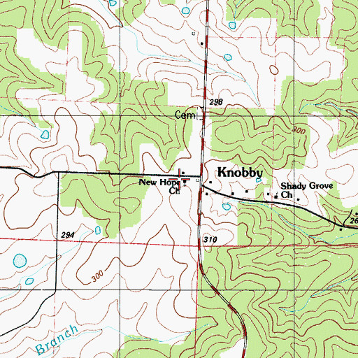 Topographic Map of New Hope Church, MO