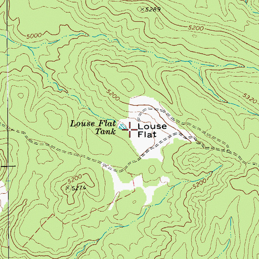 Topographic Map of Louse Flat, AZ