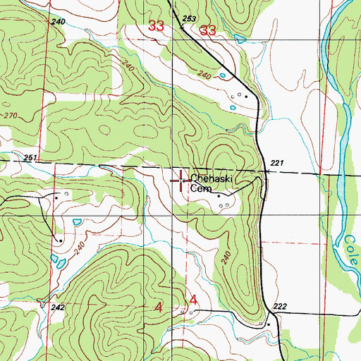 Topographic Map of Chehaski Cemetery, MO