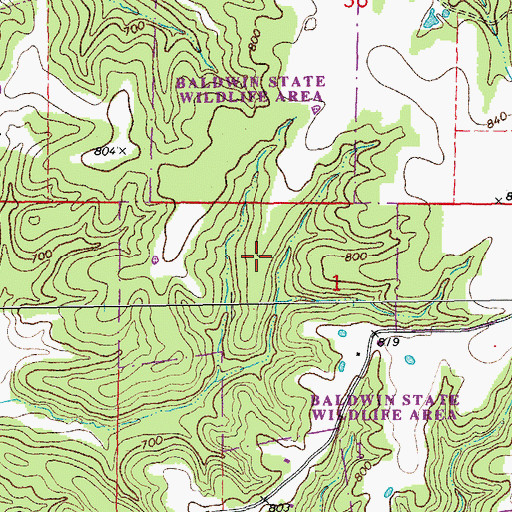 Topographic Map of Baldwin State Wildlife Area, MO