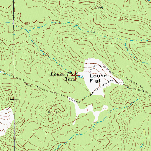 Topographic Map of Louse Flat Tank, AZ