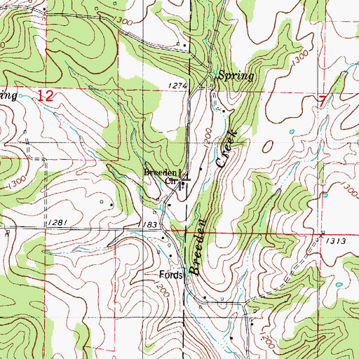 Topographic Map of Breeden Church, MO