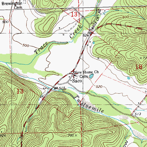 Topographic Map of New Home Church, MO