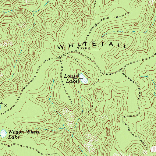Topographic Map of Louse Lake, AZ