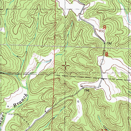 Topographic Map of Burton Cemetery, MO