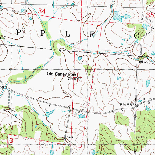Topographic Map of Old Caney Fork Cemetery, MO