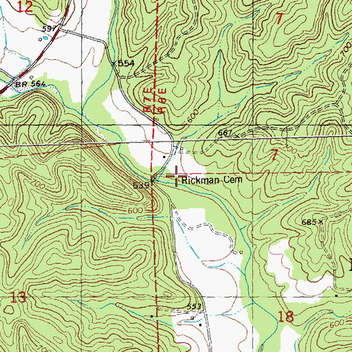 Topographic Map of Rickman Cemetery, MO