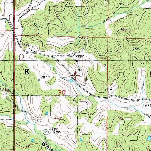Topographic Map of White Oak School (historical), MO