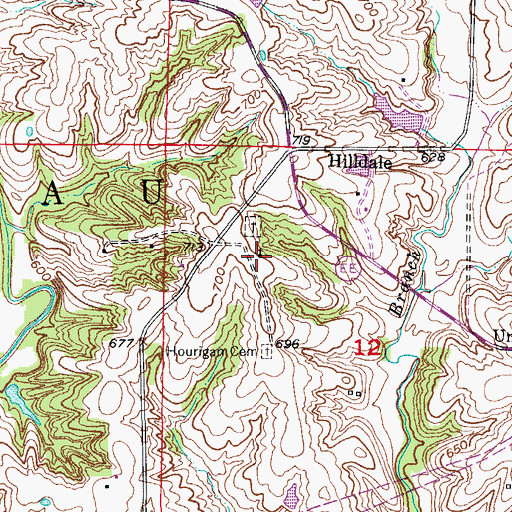 Topographic Map of Union Church, MO