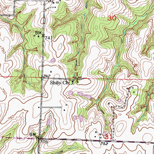 Topographic Map of Pleasant Grove School (historical), MO