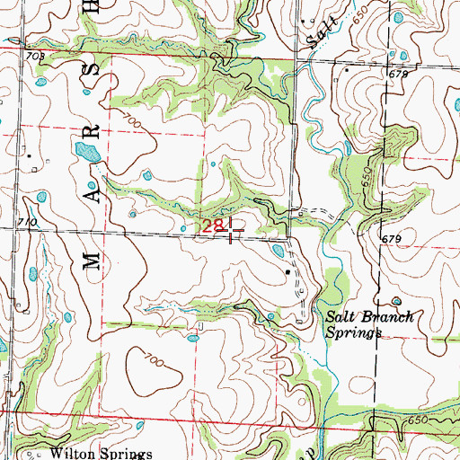 Topographic Map of Salt Branch School (historical), MO