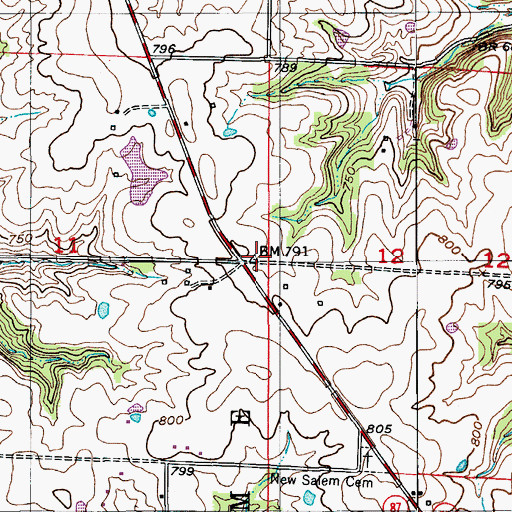 Topographic Map of Salemen School (historical), MO