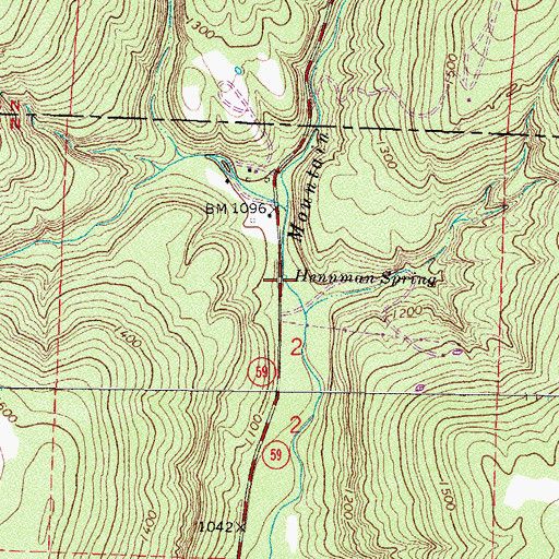 Topographic Map of Hennman Spring, AR