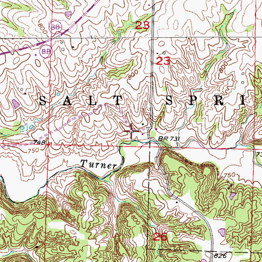Topographic Map of Walnut Grove School (historical), MO