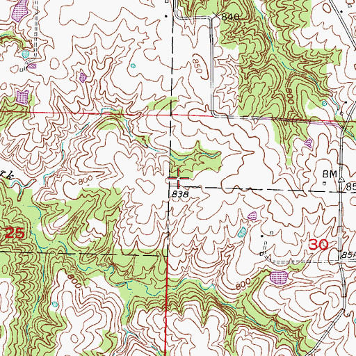Topographic Map of Dover School (historical), MO