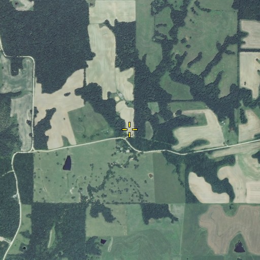 Aerial/Satellite Image of Cox School (historical), MO