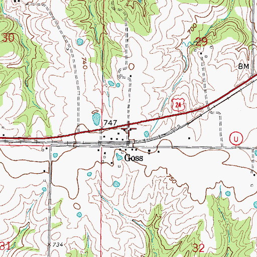 Topographic Map of Goss School (historical), MO