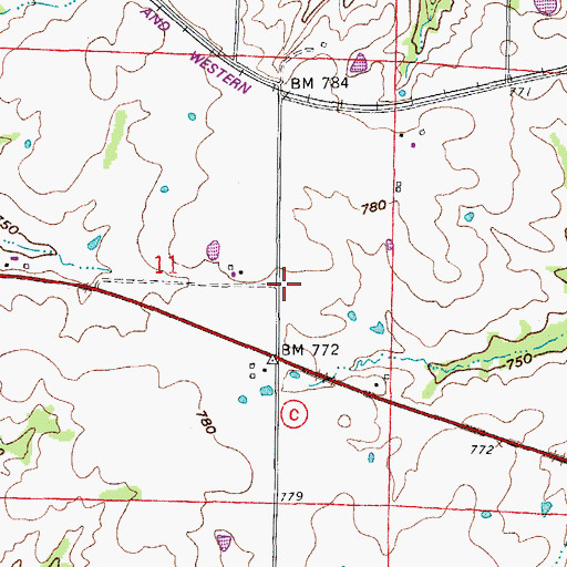 Topographic Map of Cross Hollow School (historical), MO