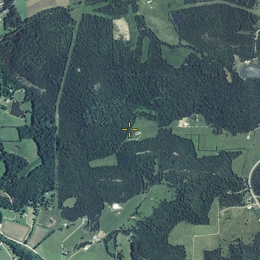 Aerial/Satellite Image of Frene School (historical), MO