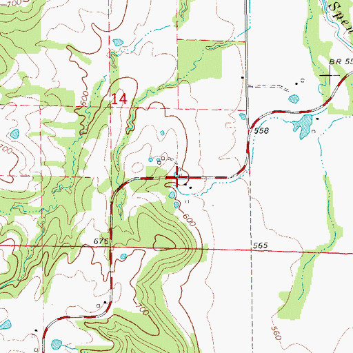 Topographic Map of Elk Lick Springs (historical), MO