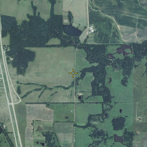 Aerial/Satellite Image of Eller School (historical), MO