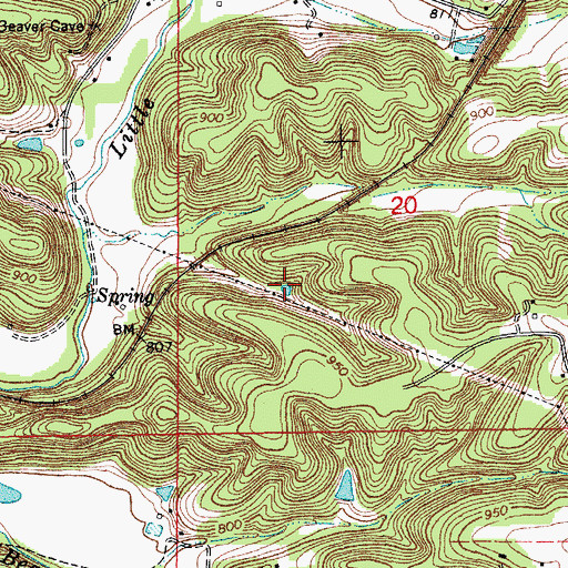 Topographic Map of Buckland Mine, MO