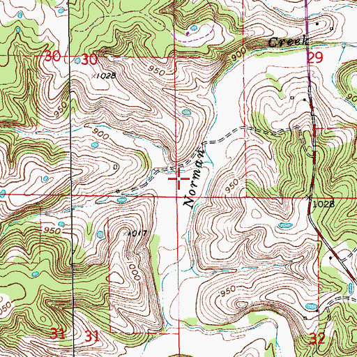 Topographic Map of Reed Bank Mine, MO