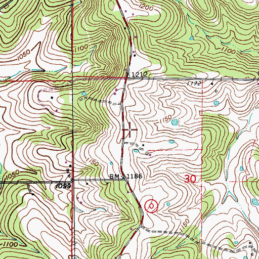 Topographic Map of Carson Store (historical), MO