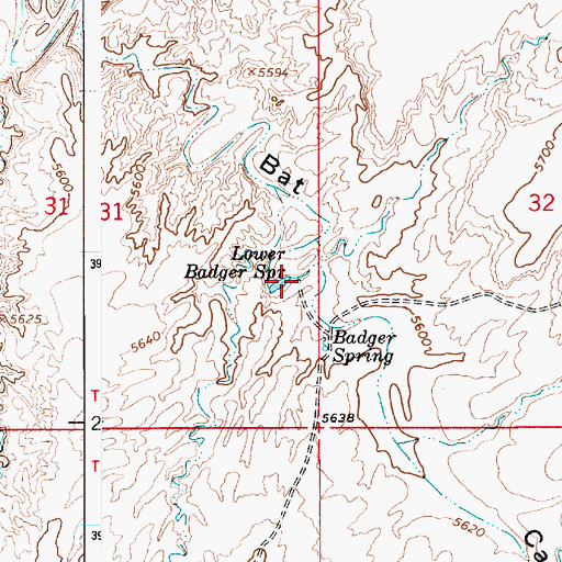 Topographic Map of Lower Badger Spring, AZ