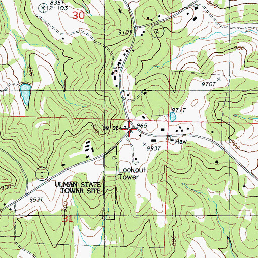 Topographic Map of Pleasant Farm (historical), MO