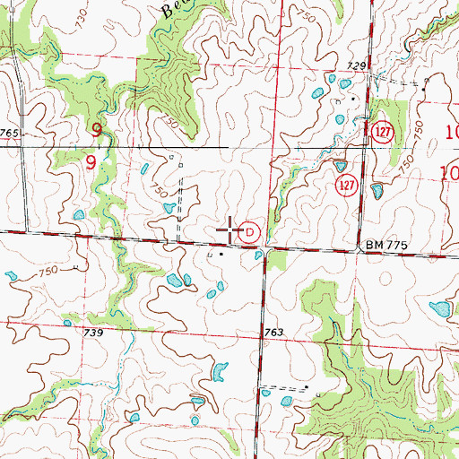 Topographic Map of Rowletta (historical), MO