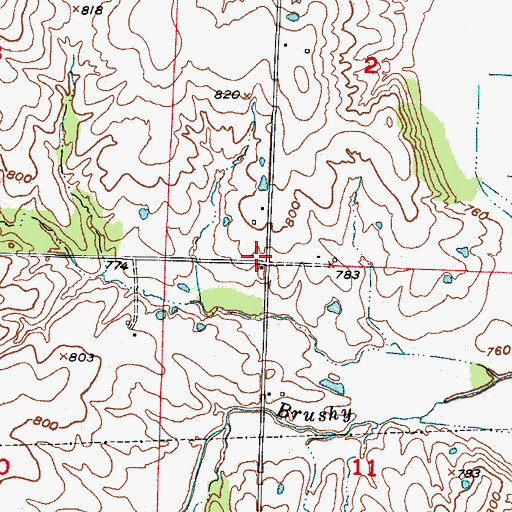 Topographic Map of Brushy Church (historical), MO