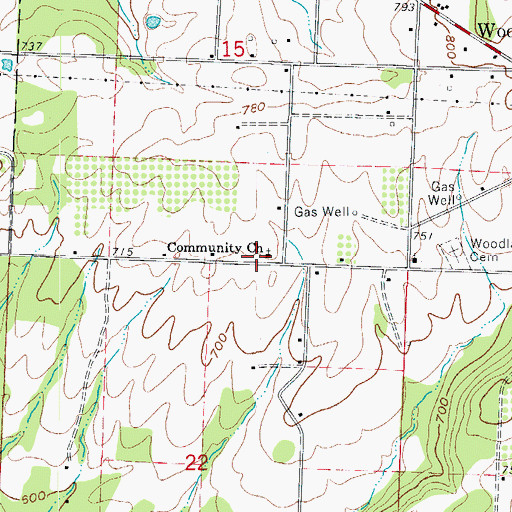 Topographic Map of Community Church, AR