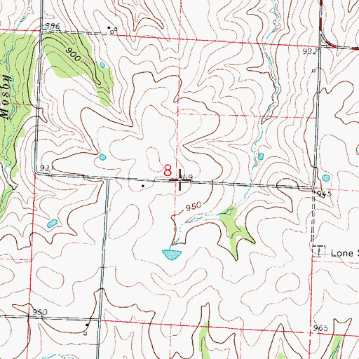 Topographic Map of Lone Star School (historical), MO