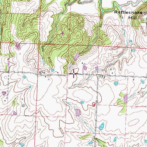 Topographic Map of East Lynn School (historical), MO