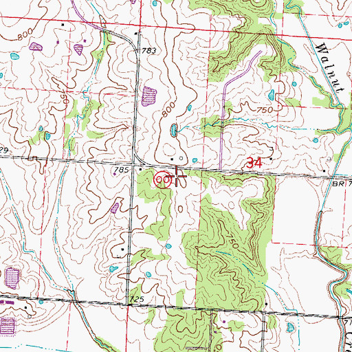 Topographic Map of Pleasant View School (historical), MO