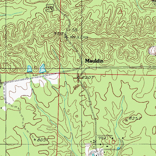 Topographic Map of Mauldin, AR